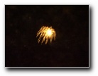 [Click to enlarge]